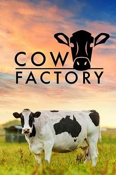 奶牛工厂