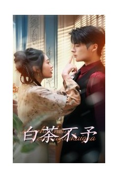 白茶不予