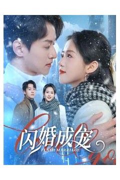 闪婚成宠