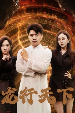 龙行天下$横行四海