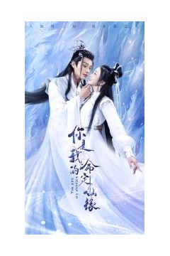 你是我的命定仙缘