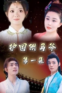 护国驸马爷&一国驸马护山河