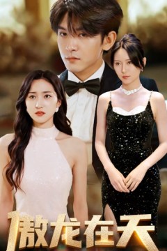 傲龙在天