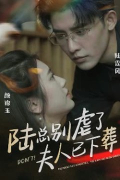 陆总别虐了，夫人已下葬