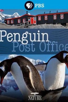 自然世界：企鹅邮局
