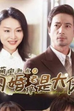 萌宝助攻之闪婚老伴是大佬