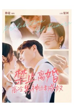 禁止离婚，高冷男神追妻成奴
