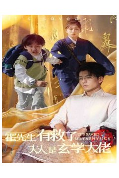 霍先生有救了夫人是玄学大佬