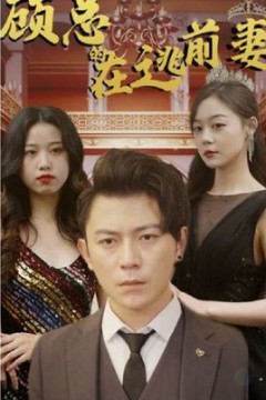 顾总的在逃前妻