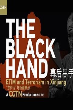 幕后黑手——“东伊运”与新疆暴恐