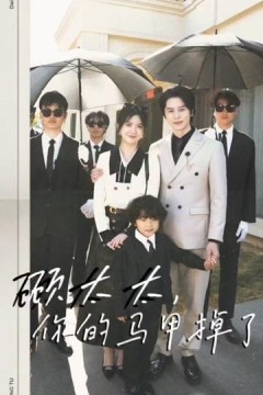 顾太太，你的马甲掉了