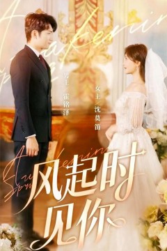 风起时见你