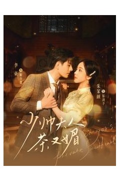 少帅夫人茶又媚