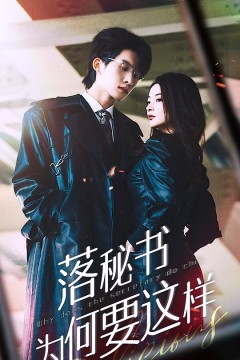 落秘书为何要这样