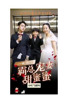 霸总宠妻甜蜜蜜