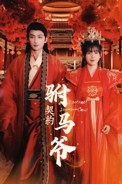 契约驸马爷