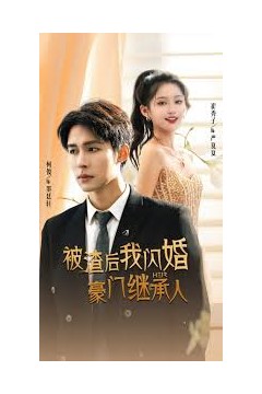 被渣后我闪婚了豪门继承人