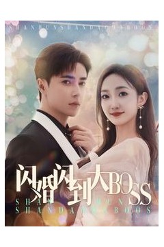闪婚闪到大BOOS