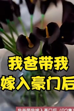 我爸带我嫁入豪门后