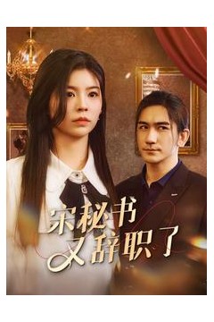 宋秘书又辞职了