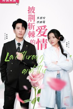 披荆斩棘的爱情