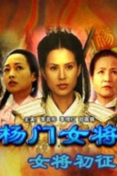 杨门女将之女将初征