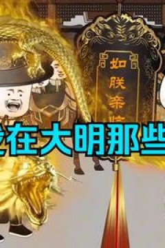 我在大明的那些年