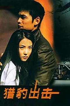 猎豹出击