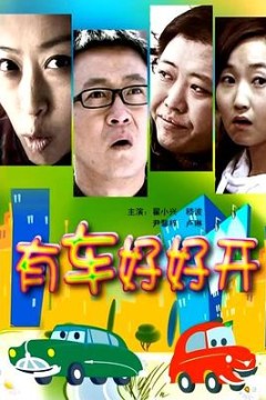 有车好好开
