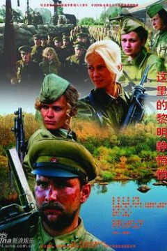 这里的黎明静悄悄2005