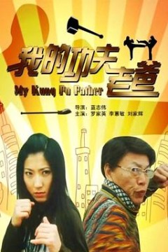 我的功夫老爸