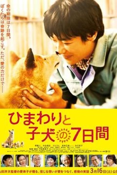 向日葵与幼犬的7天