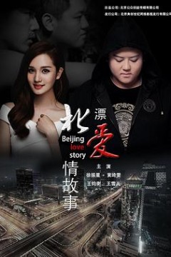 北漂爱情故事2016