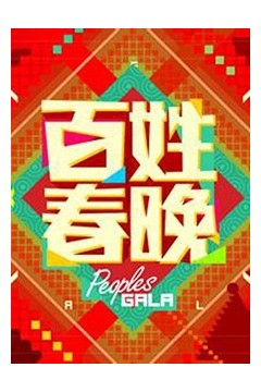 百姓春晚2013