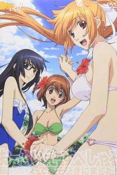 玩伴猫耳娘！OVA