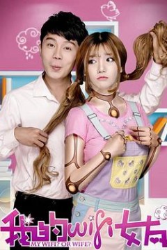 我的WiFi女友
