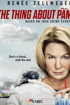 关于帕姆的那些事