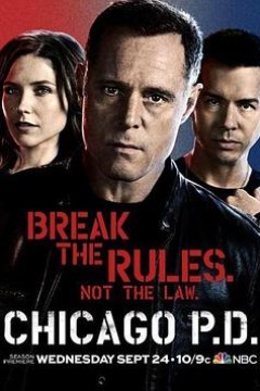 芝加哥警署第二季