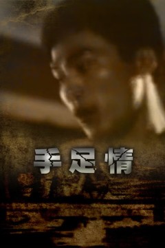 手足情1988