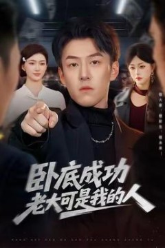 卧底成功老大可是我的人