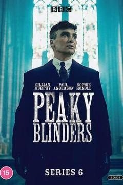 浴血黑帮第六季