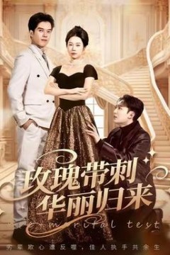 玫瑰带刺华丽归来