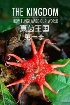真菌王国第一季