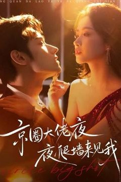 京圈大佬夜夜爬墙来见我