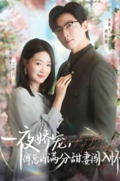 越夜越熟之上瘾(入夜我们谈恋爱)