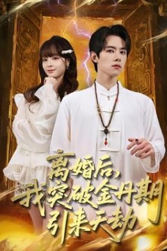 离婚后，我突破金丹期，引来天劫