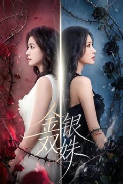 金银双姝