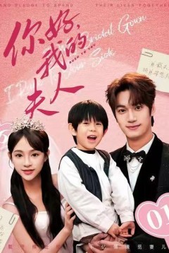 顾总，我才是你的夫人.