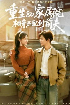 重生80家属院，相亲匹配到前夫