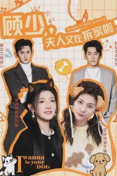 顾少，夫人又在拆家啦